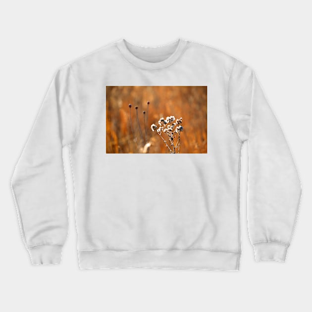 The Rhythm of Nature Crewneck Sweatshirt by bgaynor